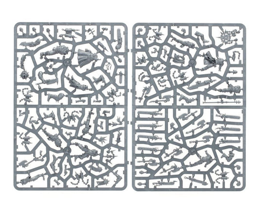 Warhammer 40000 Chaos Marines Jakhals X10 new on sprue